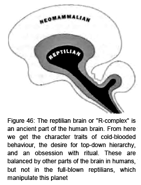 reptilian mind