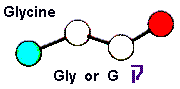 Amino Acid Glycine and Hebrew letter Qoph