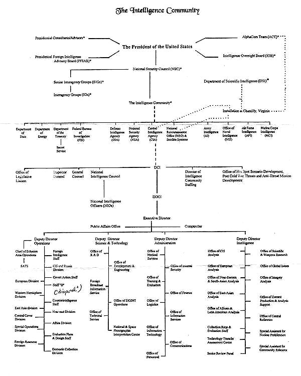 Majestic Size Chart