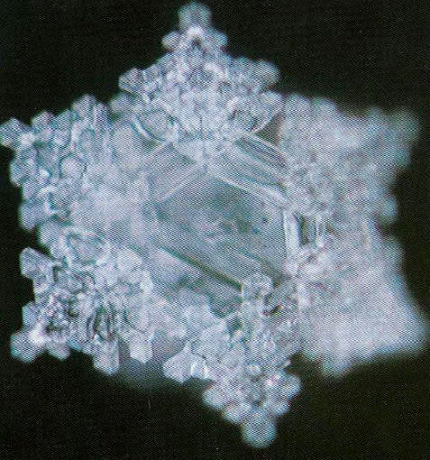 Вода в кристаллическом состоянии. Кристаллы льда. Кристаллы воды. Кристаллы льда на воде. Кристаллы льда фото.
