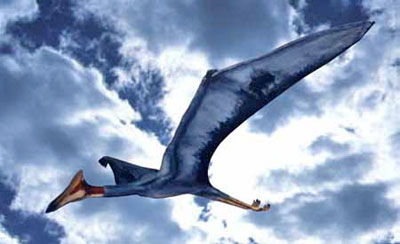 flying reptile quetzalcoatlus