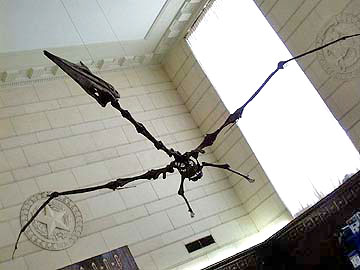 QUETZALCOATLUS - Dragon of the Clouds