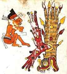 Codex Borgia Plate 66